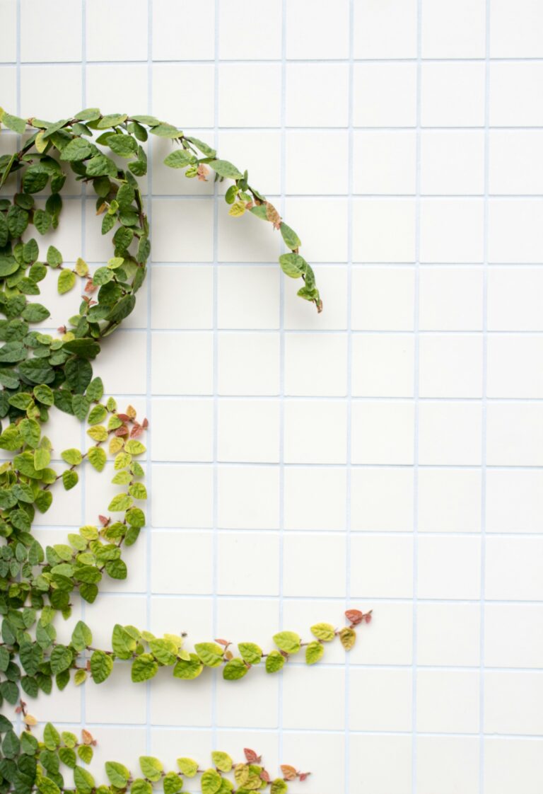 grouted tile wall with a vine growing agaqinst it