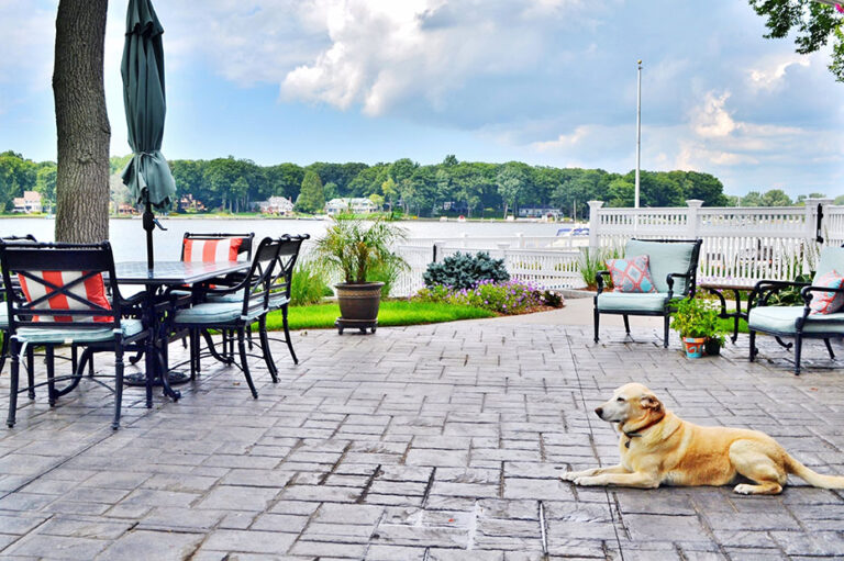 Pool surrounded by gray tile with a lounging dog