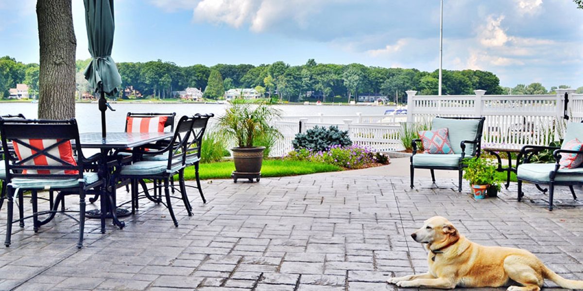 Pool surrounded by gray tile with a lounging dog